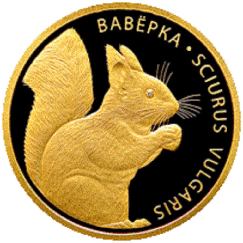 Золотая монета Беларуси «Белка» 2009 г.в., 7.78 г  чистого золота (Проба 0.999)