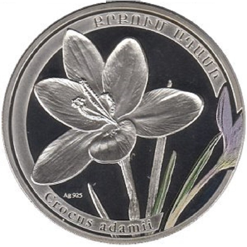 Серебряная монета Армении "Крокус (Шафран) Адама" 2011 г.в., 26.16 г чистого серебра (Проба 0,925)