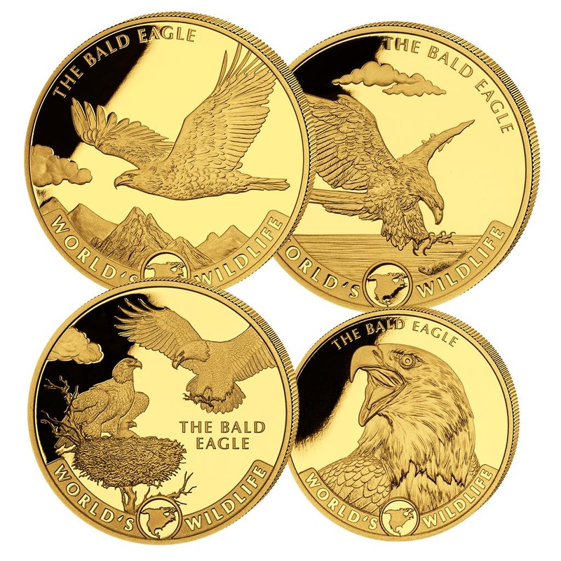 Набор из 4-х золотых монет Конго "Дикая природа мира - Белоголовый орлан" 2021 г.в., 31.1+15.55+7.78+3.11 г чистого золота (Проба 0,999)