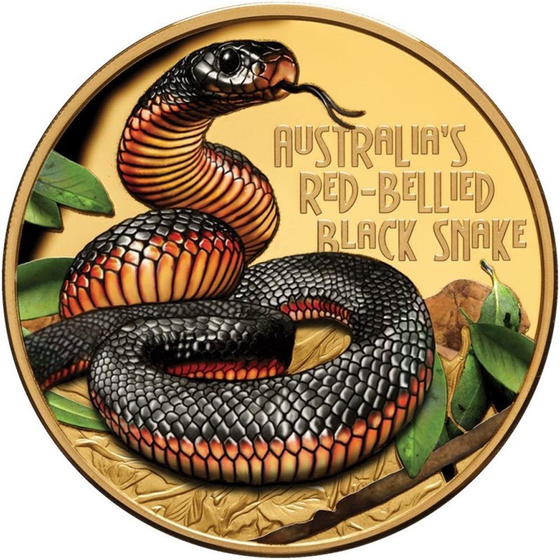 Золотая монета Ниуэ "Краснобрюхая черная змея" 2022 г.в., 31.1 г чистого золота (Проба 0,9999)