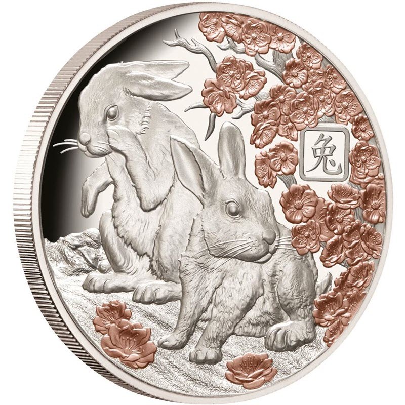 Серебряная монета Соломоновых островов "Год Кролика" 2023 г.в., (с позолотой), 31.1 г чистого серебра (проба 999)
