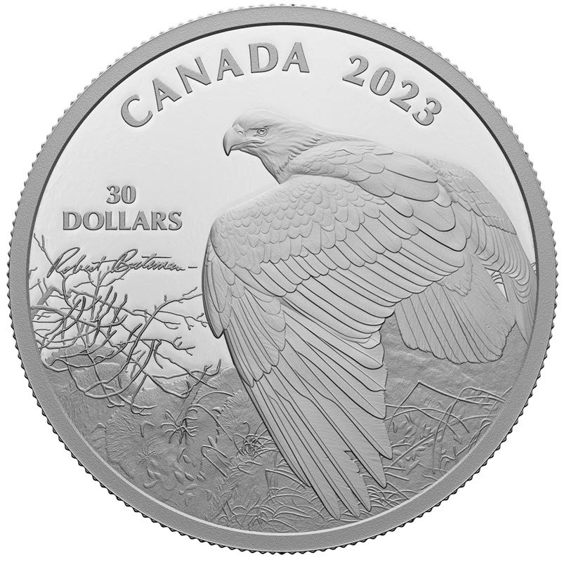 Серебряная монета Канады «Белоголовый орлан» 2023 г.в., (пруф), 62.2 г чистого серебра (проба 9999)