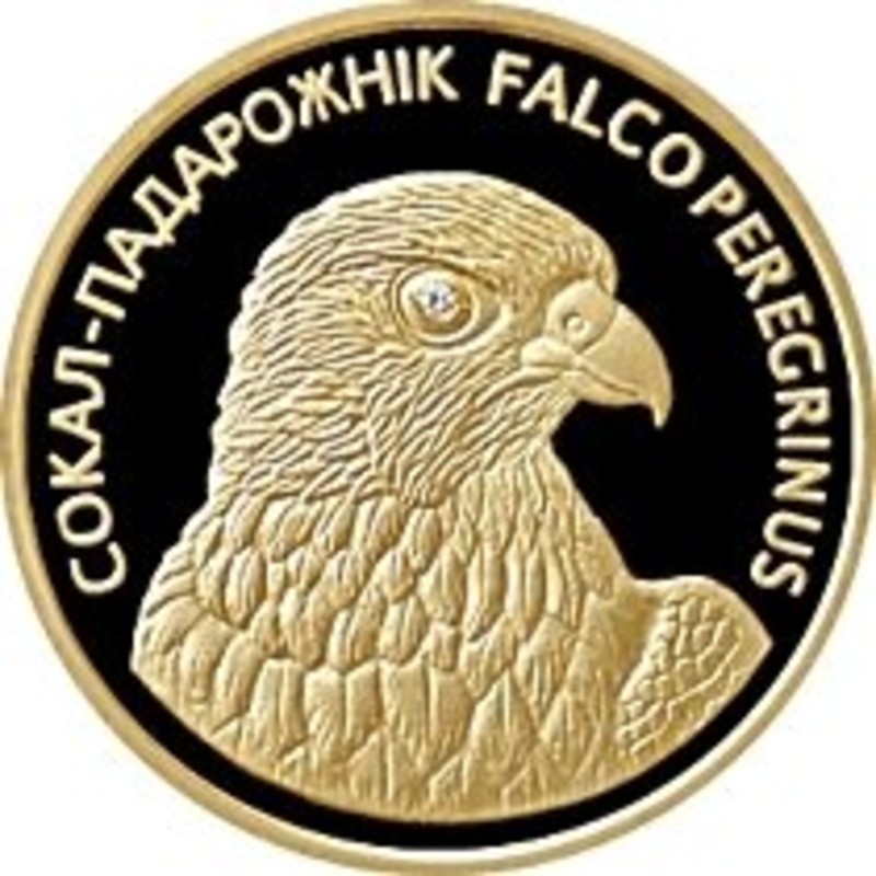 Золотая монета Беларуси "Сокол-подорожник" 2006 г.в., 7,78 г чистого золота (Проба 0,999)
